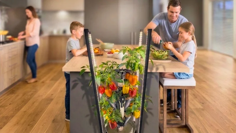 Family kitchen garden background