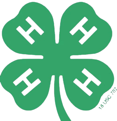 4-H Clover Logo